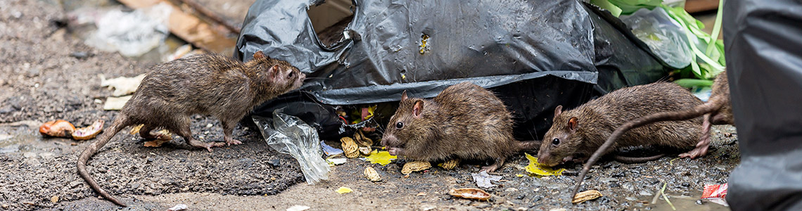 rotter affald
